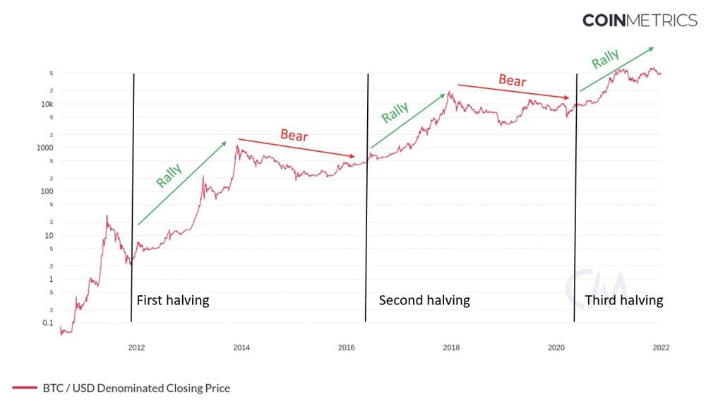 bitcoin halvings bear and bull ralies